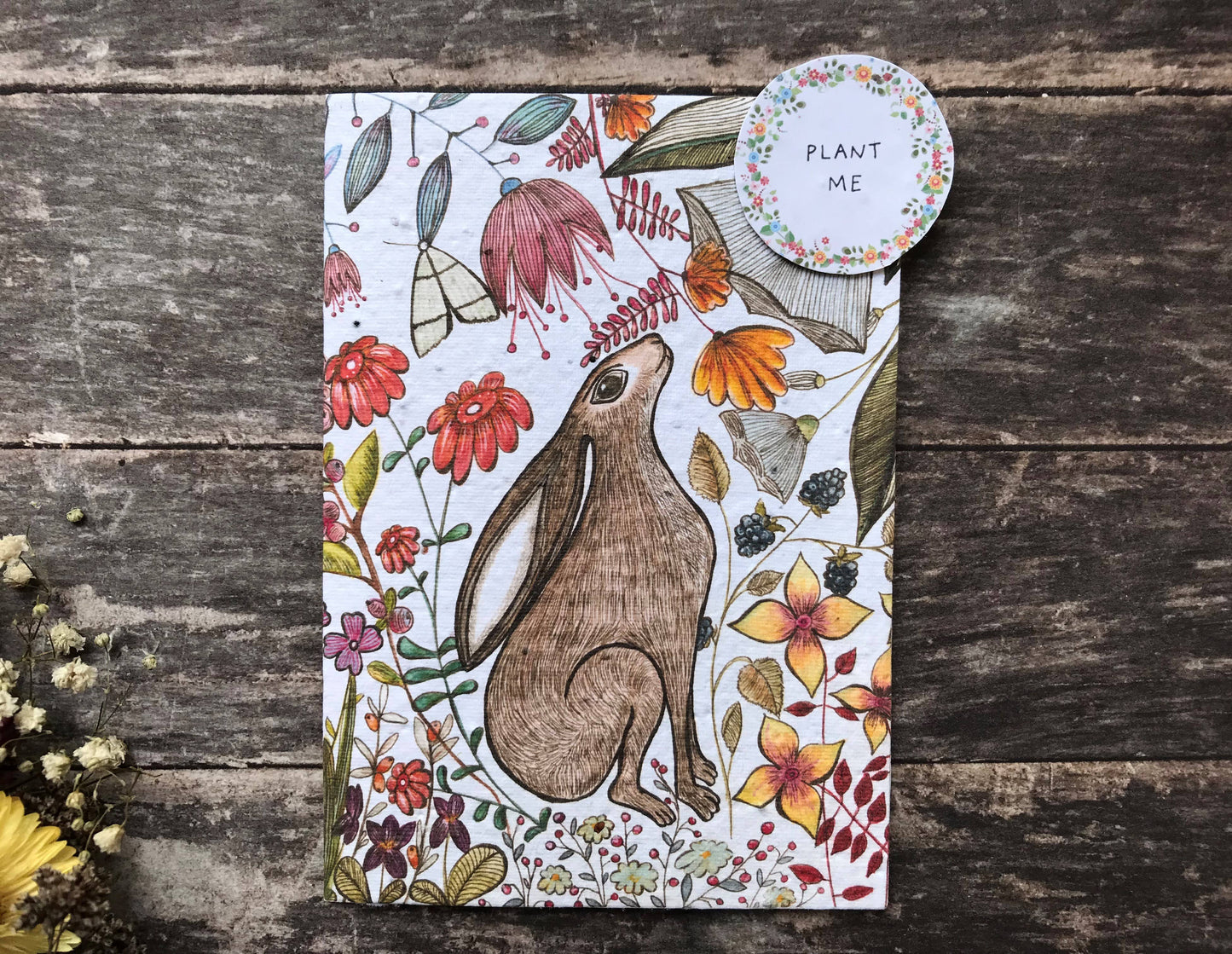 ‘Harriet Hare’ Plantable Blank Greeting Card