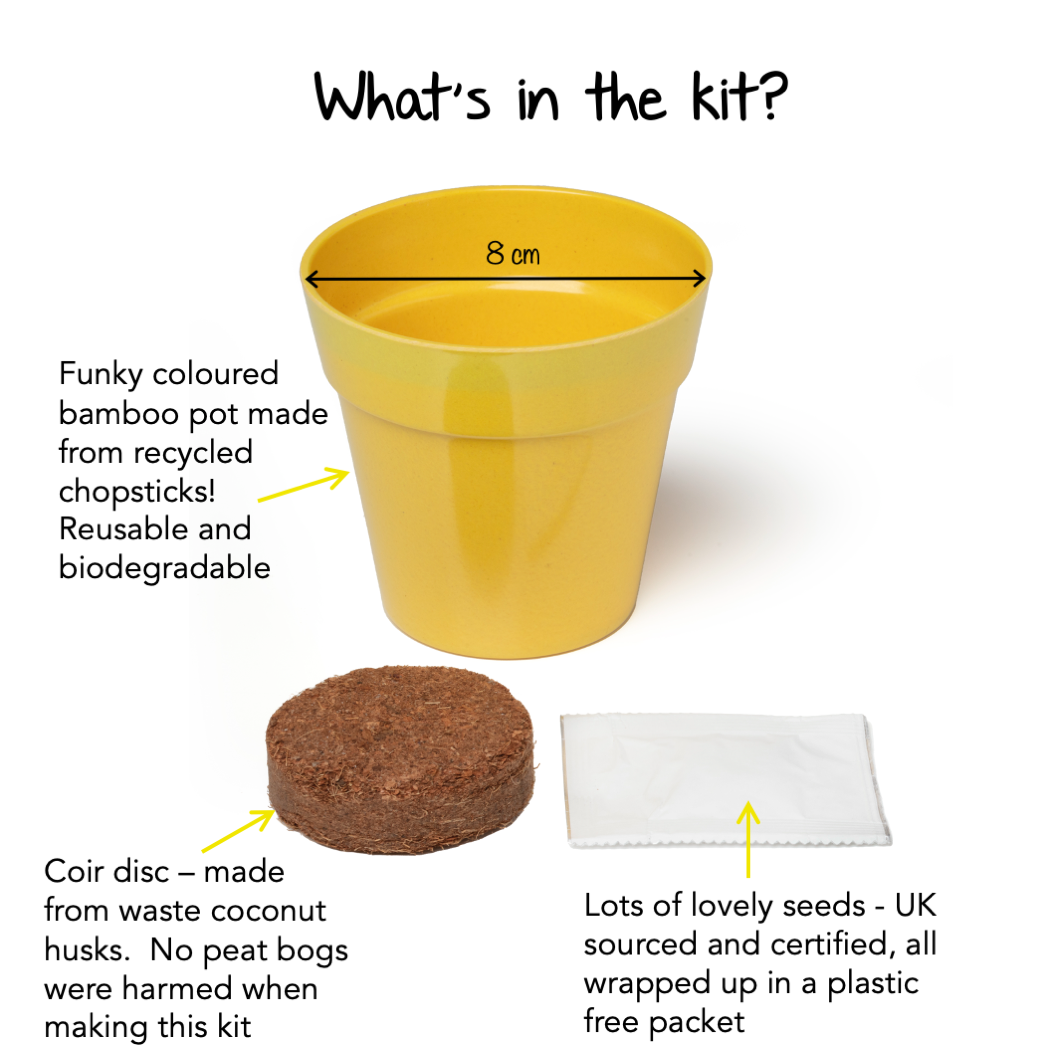 Children's Grow Your Own Sunflowers Growing Kit