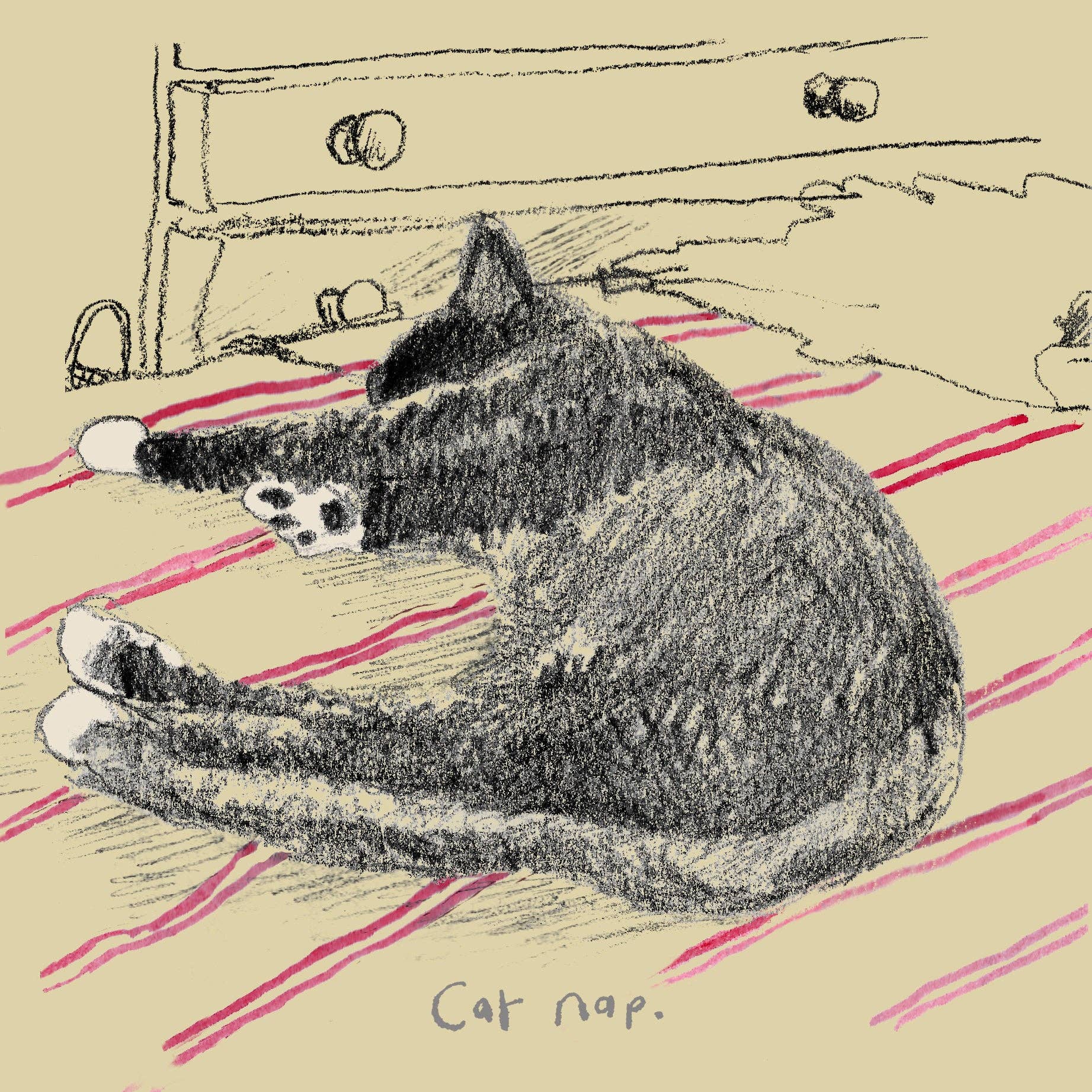 'Cat Nap' Greeting Card – SW Coast Refills