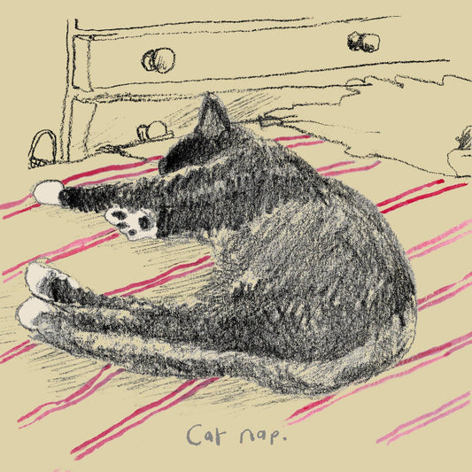 'Cat Nap' Greeting Card