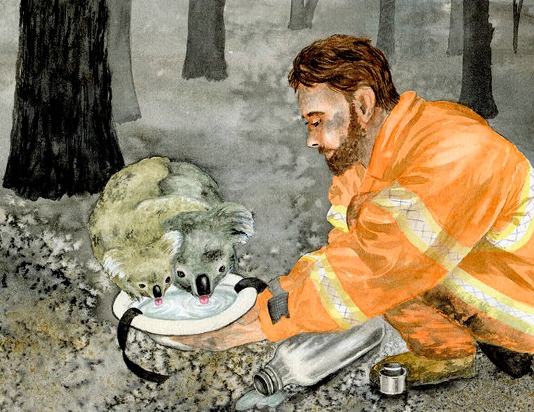 Sunny's Blazing Battle