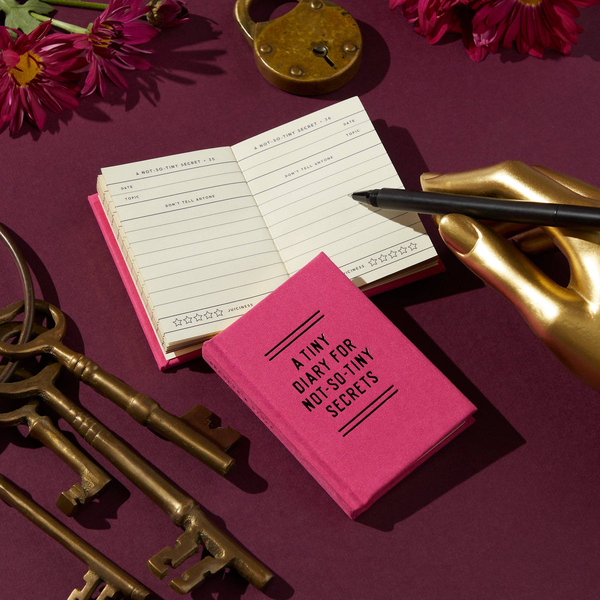 Tiny Diary for Not So Tiny Secrets