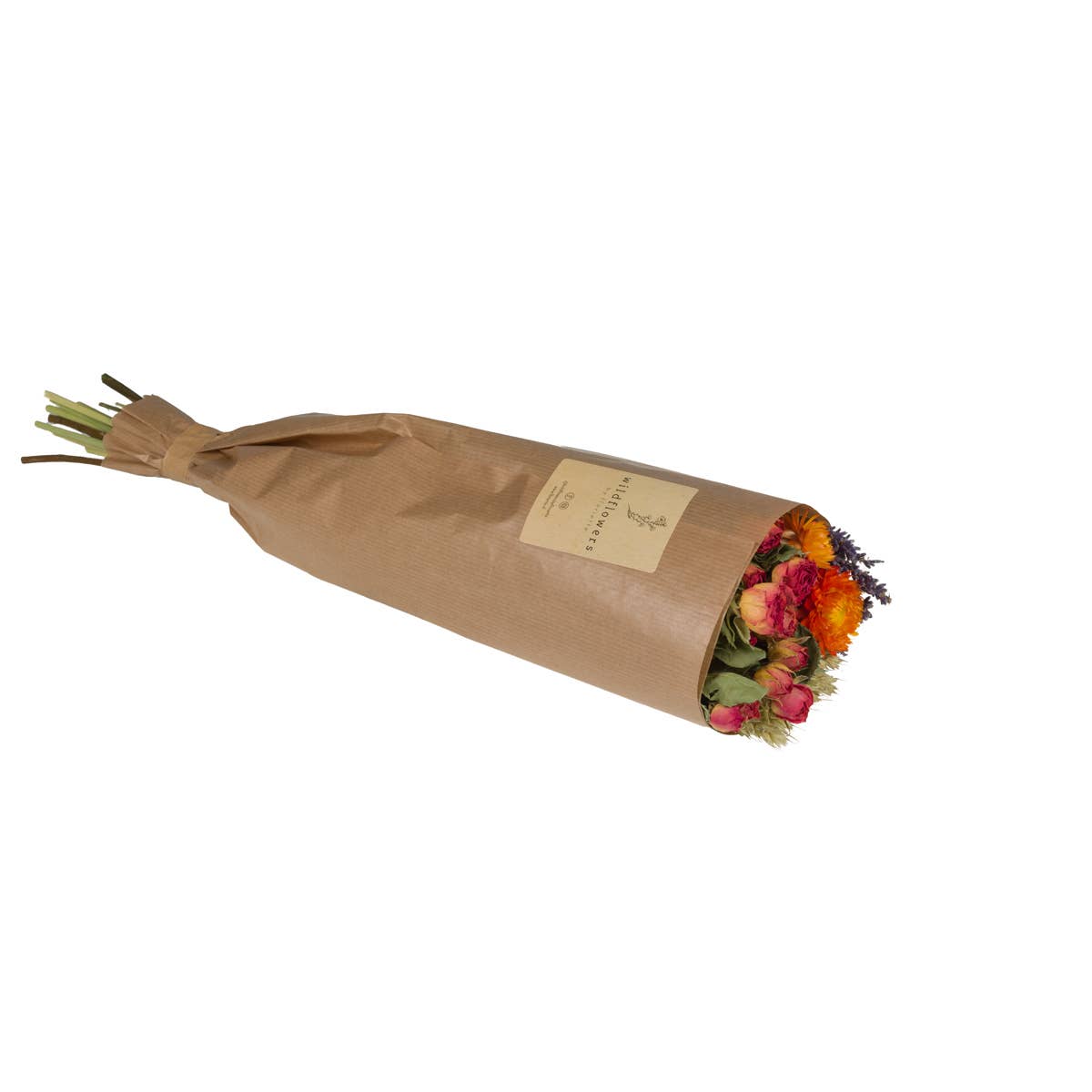 Dried Flowers - Autumn Walk