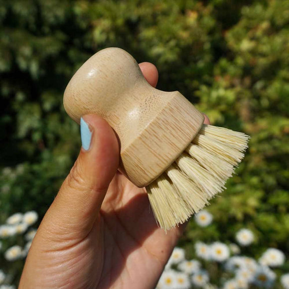 Wooden Pot Brush - Medium Firm Bristle