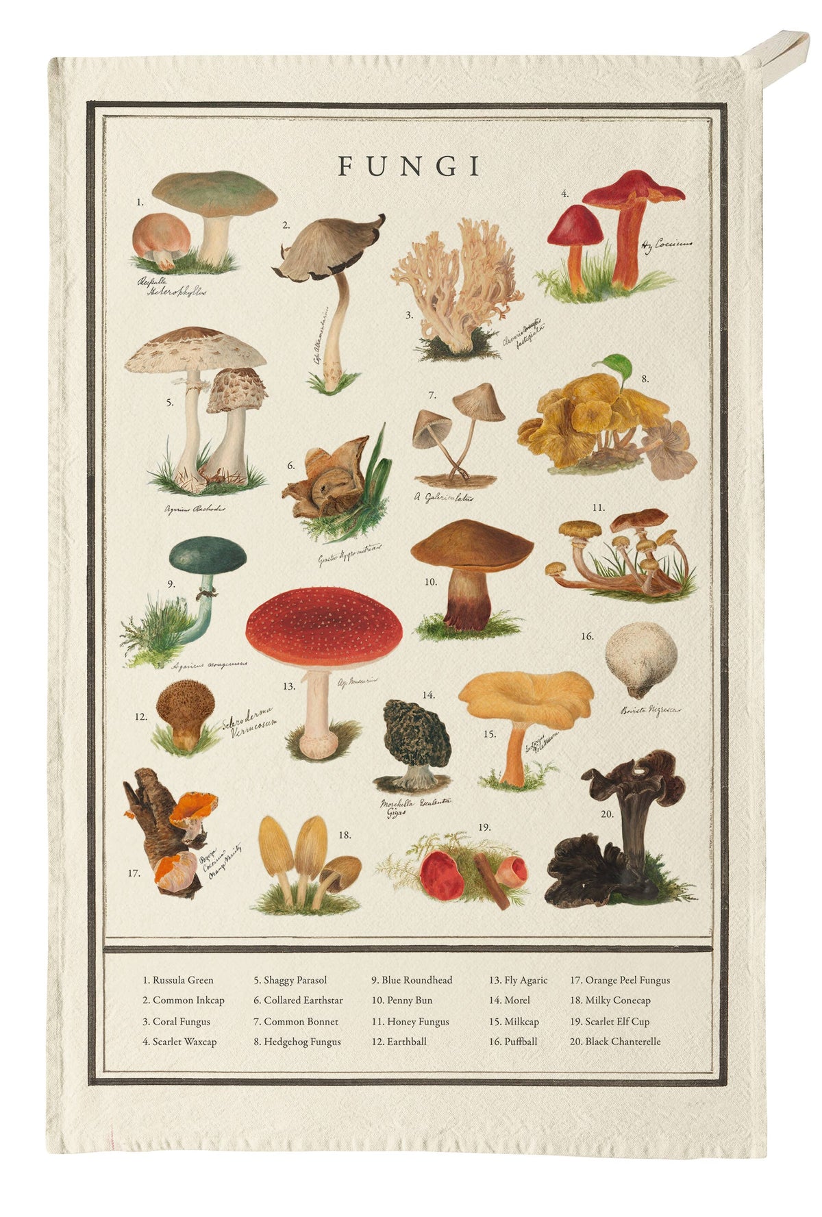 100% Organic Cotton Tea Towel - Fungi