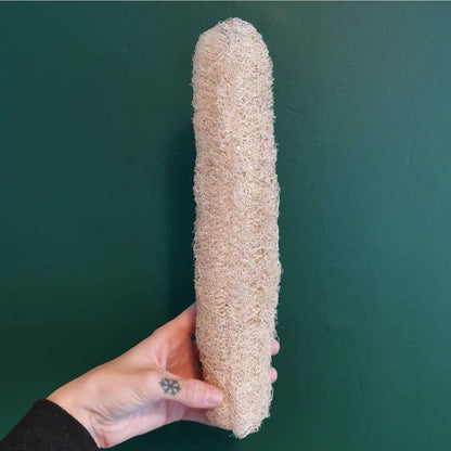 Grow Your Own Loofah Starter Pack