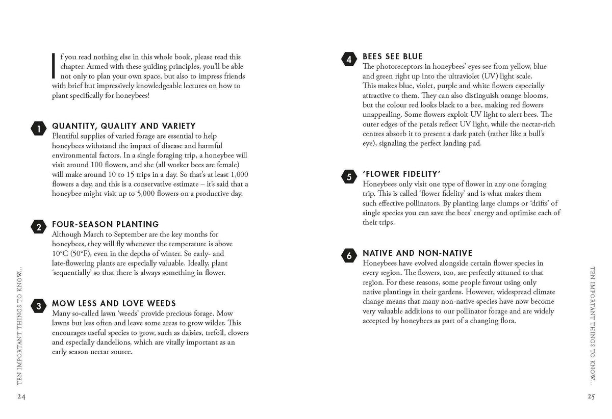 Planting For Honeybees Book