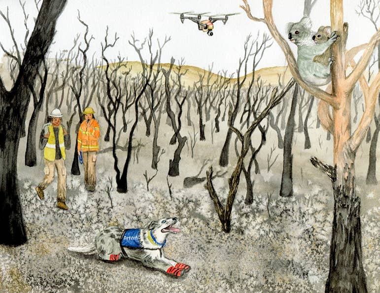 Sunny's Blazing Battle