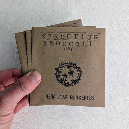 Broccoli, Sprouting 'Early' Seeds
