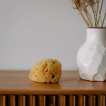 Natural Sea Sponge - Hand Harvested