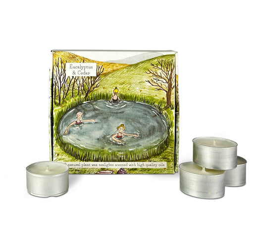 Wild Swimming Scented Tealights - Eucalyptus & Cedar