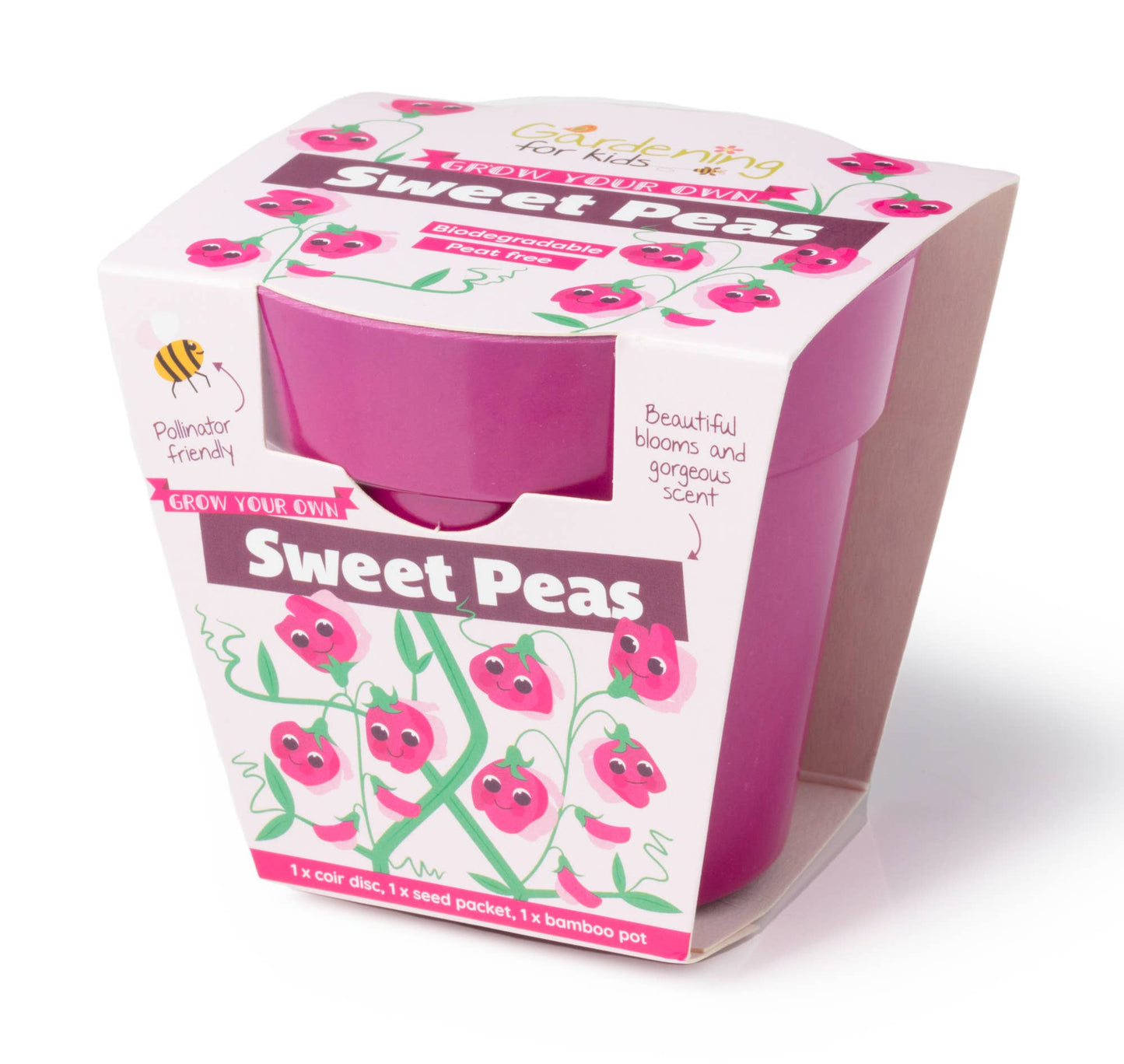 Children's Grow Your Own Sweet Pea Growing Kit