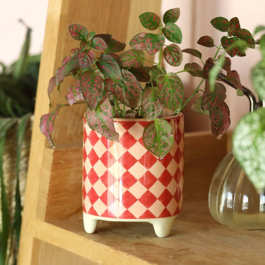 Pink and Red Checkerboard Mini Plant Pot
