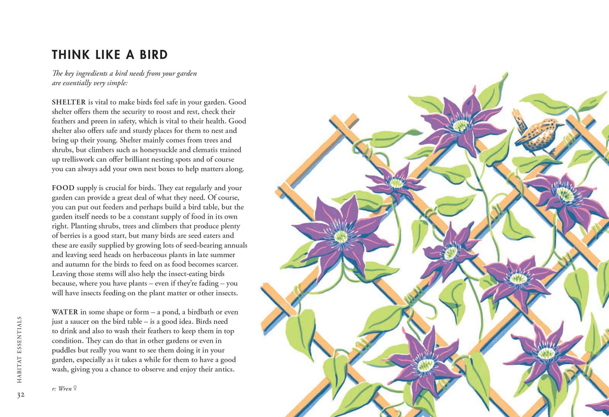 Planting For Garden Birds
