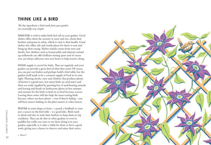 Planting For Garden Birds
