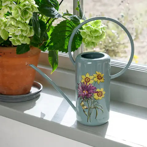 RHS Asteraceae Indoor Watering Can