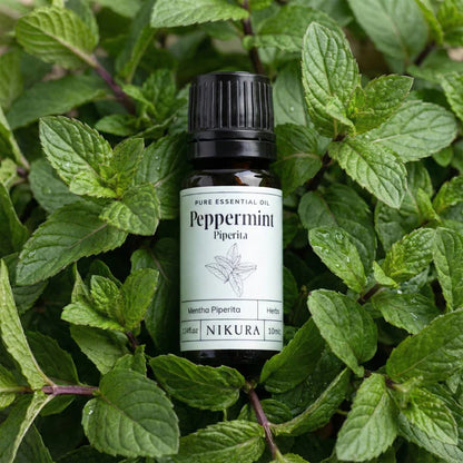 Herbal Essential Oils