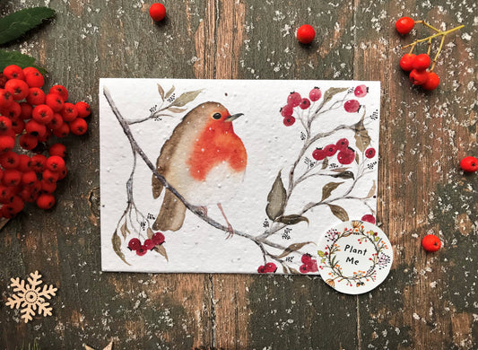 Morning Robin - Plantable Seeded Christmas Card