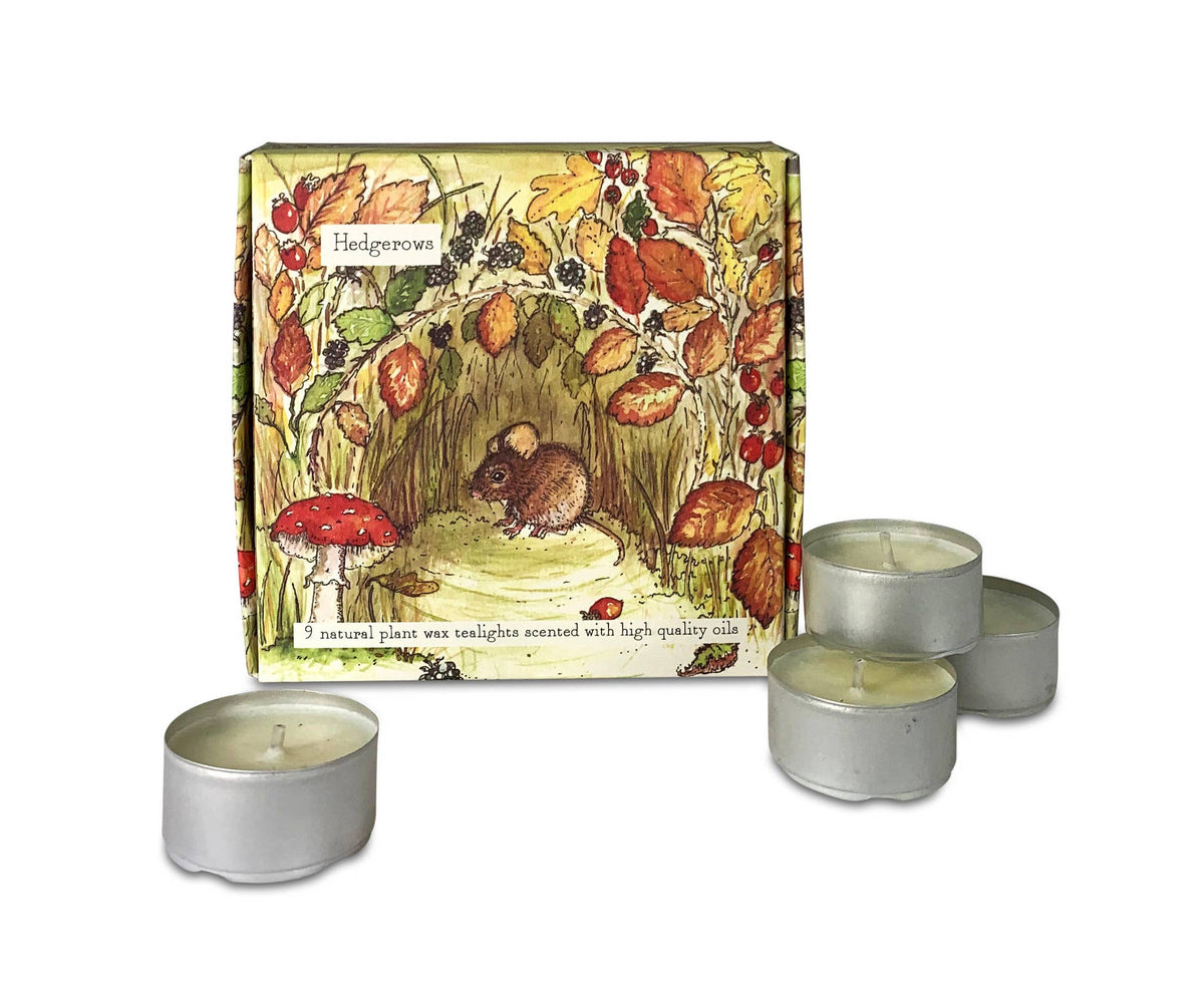 Box of 9 Scented Tealights - Hedgerows