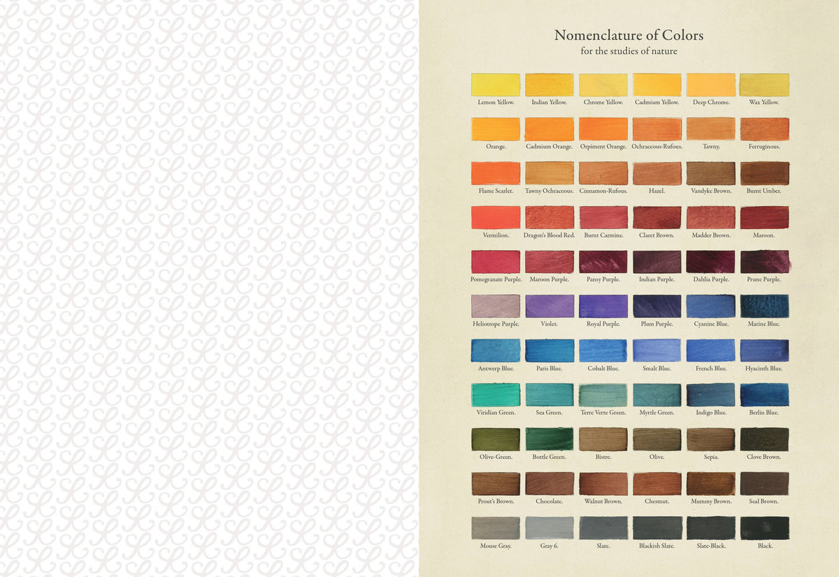 The Collage Compendium - 2,000 Images to Cut Out & Collage