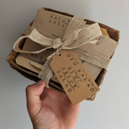 Grow Your Own Salad: Spicy Salad Grow Box