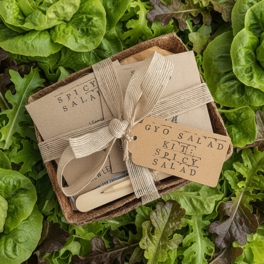 Grow Your Own Salad: Spicy Salad Grow Box