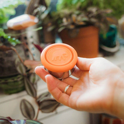 Elephant Box Seal & Go Leakproof Stainless Steel Dressing Pot Pair