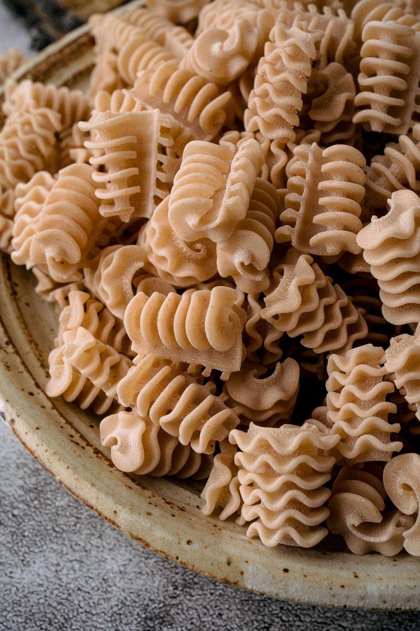 Radiatori Pasta - Northern Pasta Co.