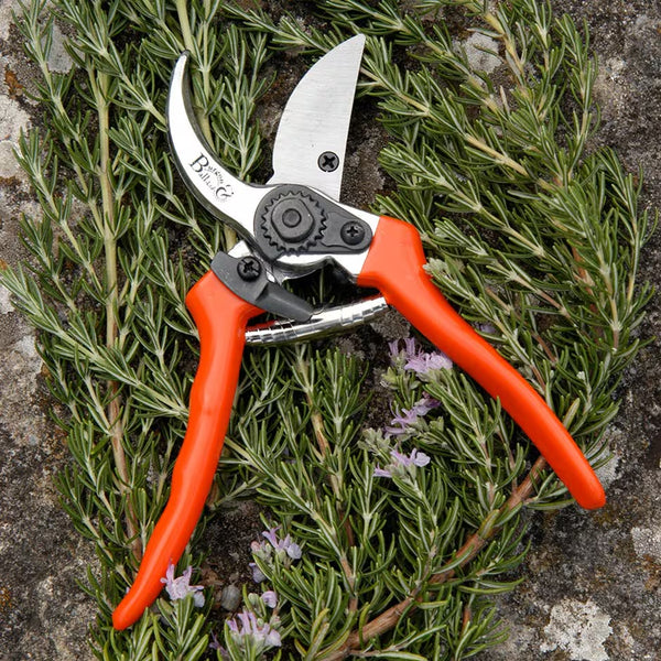 Razorsharp Heavy Duty Red Bypass Secateurs