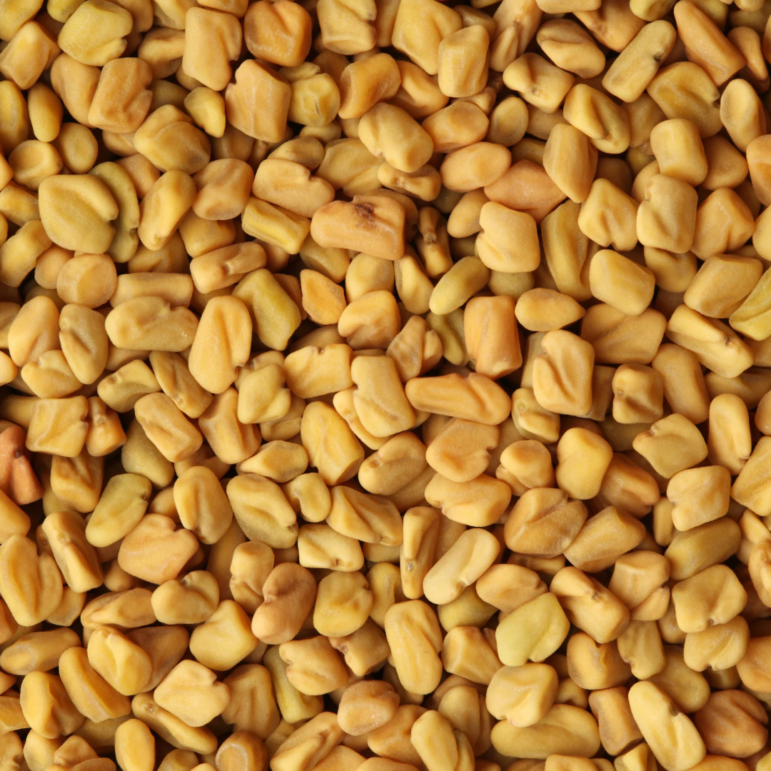 Dried fenugreek is available from SW Coast in either a 35g (most popular) or 100g serve. Shop our diverse range of herbs, spices and seasonings at SW Coast! All our herbs and spices are sourced ethically and sustainably and arrive to us in bulk plastic free. We pride ourselves on the freshness of our herbs and spices and we make all our blends by hand in store to our own carefully tailored recipes.