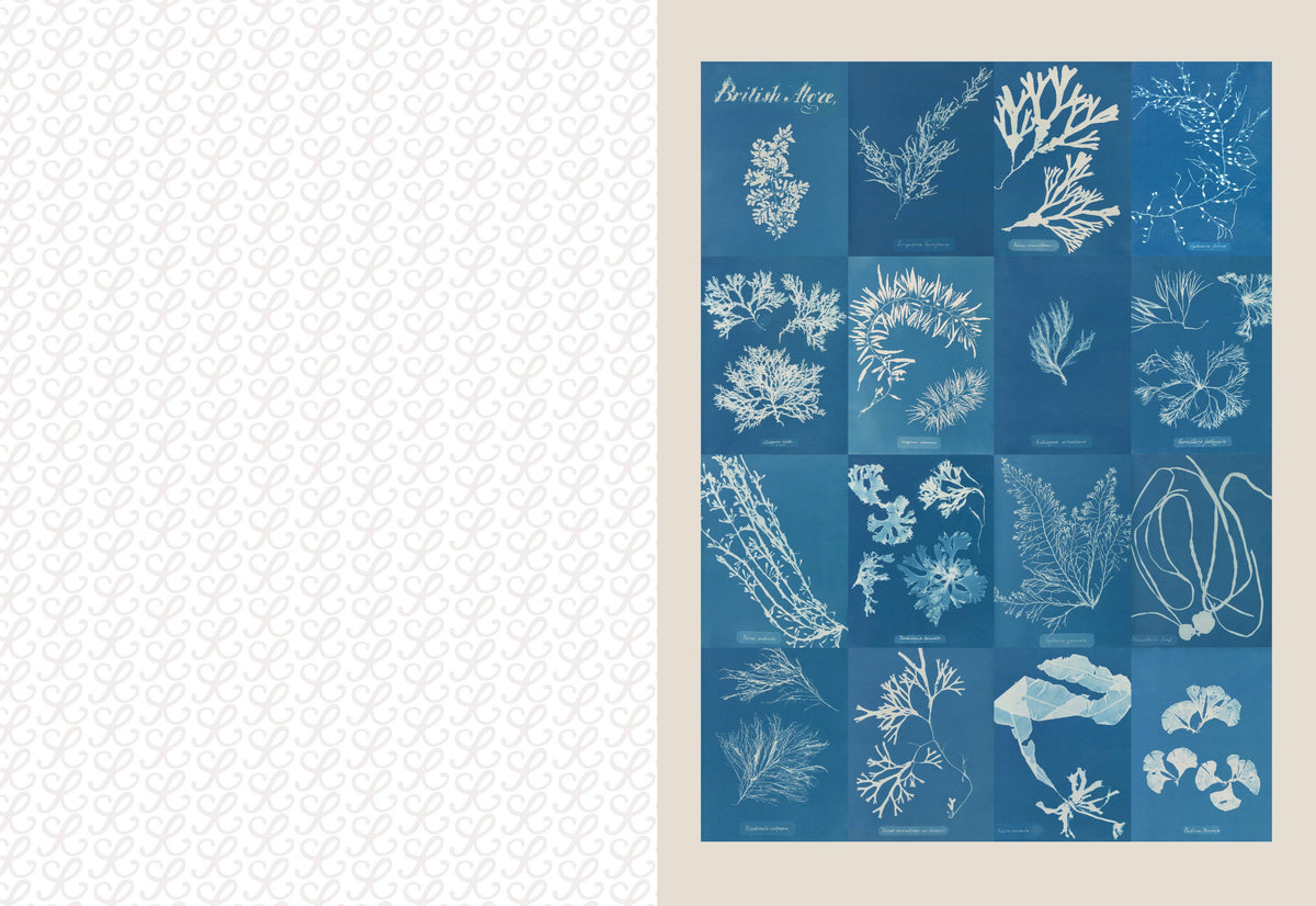 The Collage Compendium - 2,000 Images to Cut Out & Collage