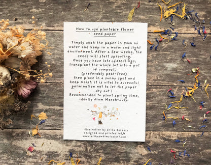 Leaping Hare Plantable Easter Card