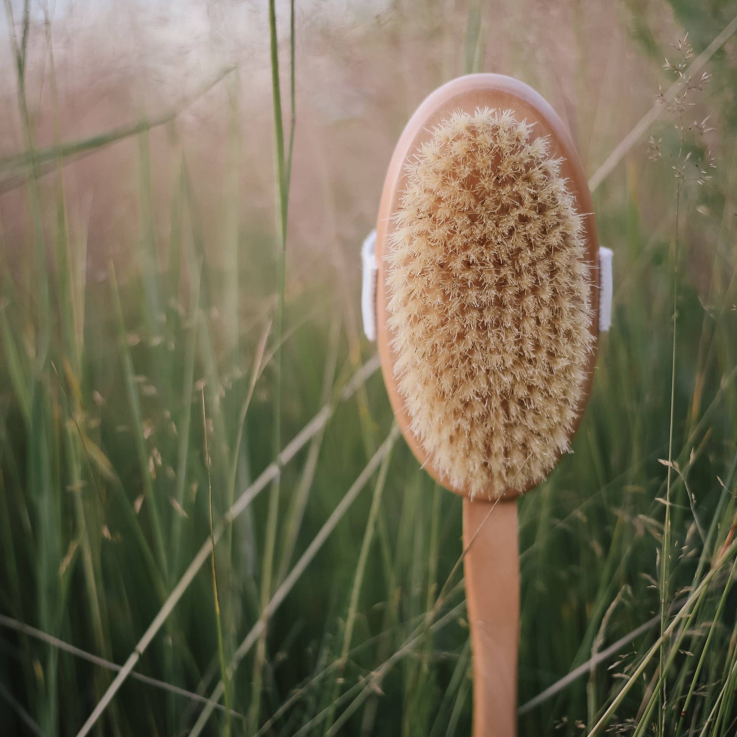 Croll & Denecke Wooden Body Brush with Handle