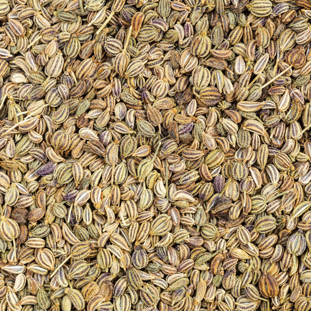 Dried ajwain seed is available to buy in 35g (most popular) or 100g serves. Shop our diverse range of herbs, spices and seasonings at SW Coast! All our herbs and spices are sourced ethically and sustainably and arrive to us in bulk plastic free. We pride ourselves on the freshness of our herbs and spices and we make all our blends by hand in store to our own carefully tailored recipes.