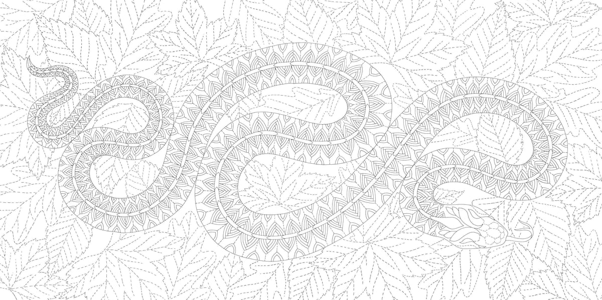 Millie Marotta's Woodland Wild - a Colouring Book Adventure