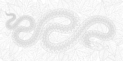 Millie Marotta's Woodland Wild - a Colouring Book Adventure