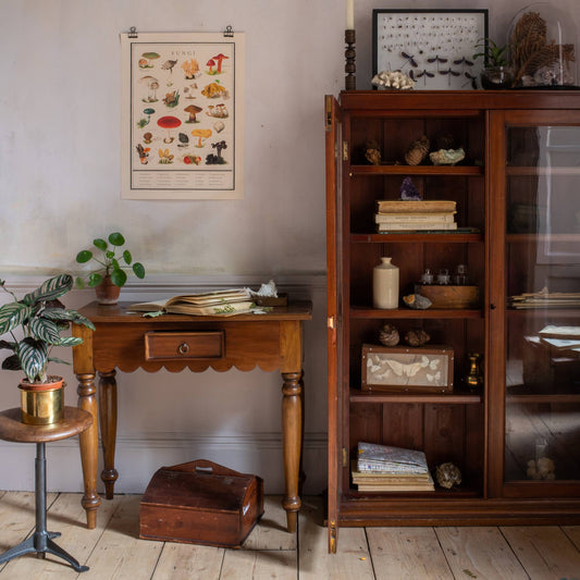 Roomytown Fine Art Print - Fungi