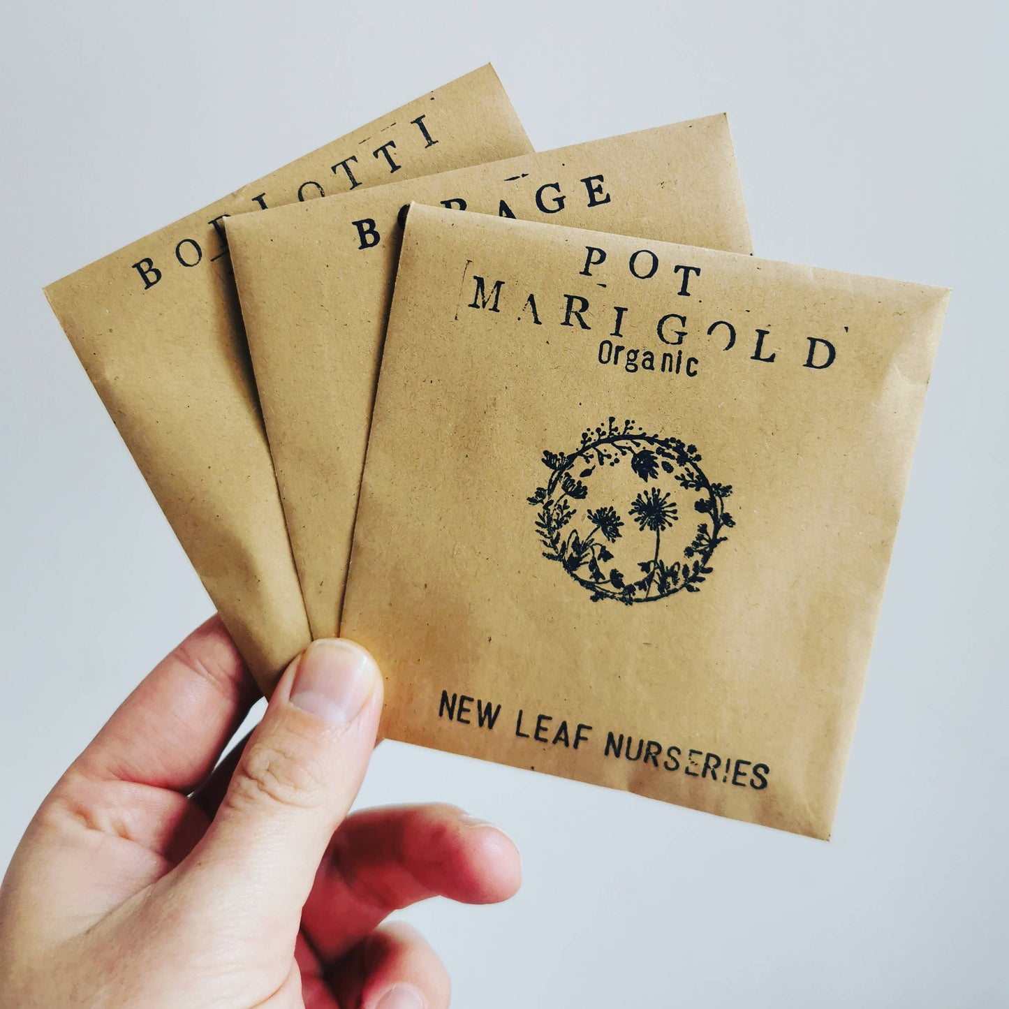 Vegetable Seeds for Spring Growing ~ Plant Now!