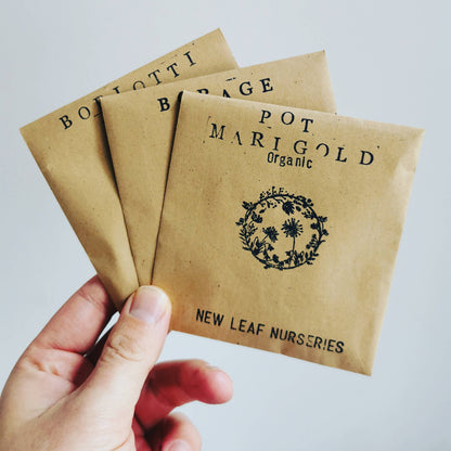 Vegetable Seeds for Spring Growing ~ Plant Now!