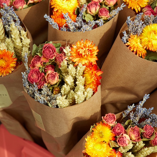 Dried Flowers - Autumn Walk
