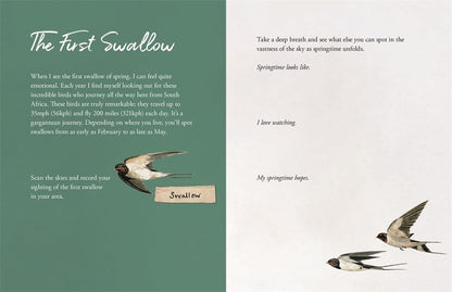 The Wild Remedy Journal