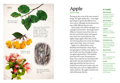 First Time Forager - National Trust Book