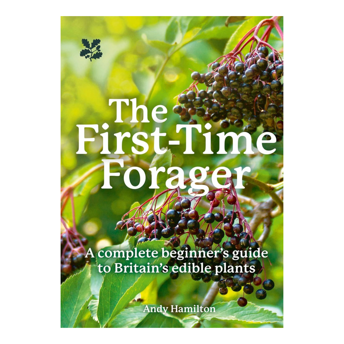 First Time Forager - National Trust Book