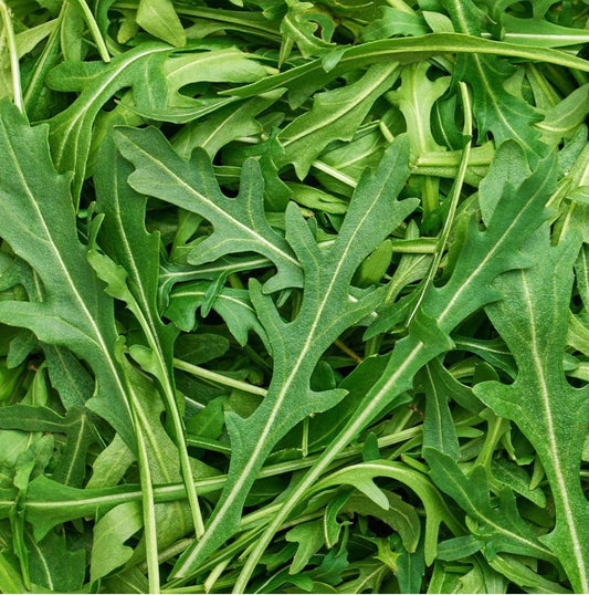 Baby Leaf Rocket 125g