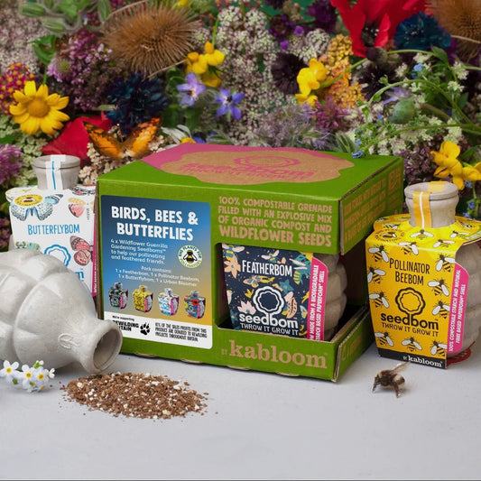 Birds, Bees & Butterflies 4 Pk Seedbom Wildflower Gift Set