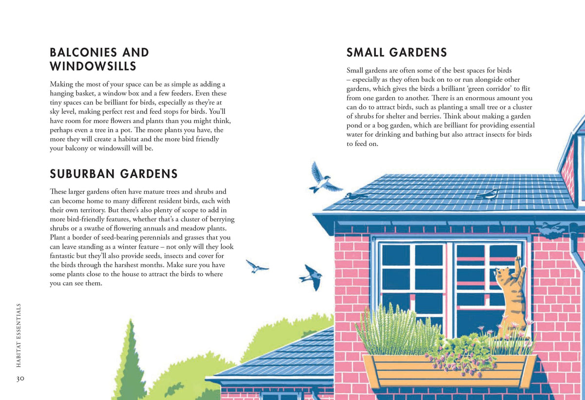 Planting For Garden Birds