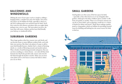 Planting For Garden Birds