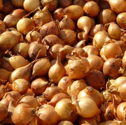 Pickling Onions 2.5kg