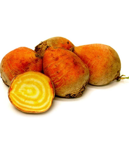 Golden Beetroot