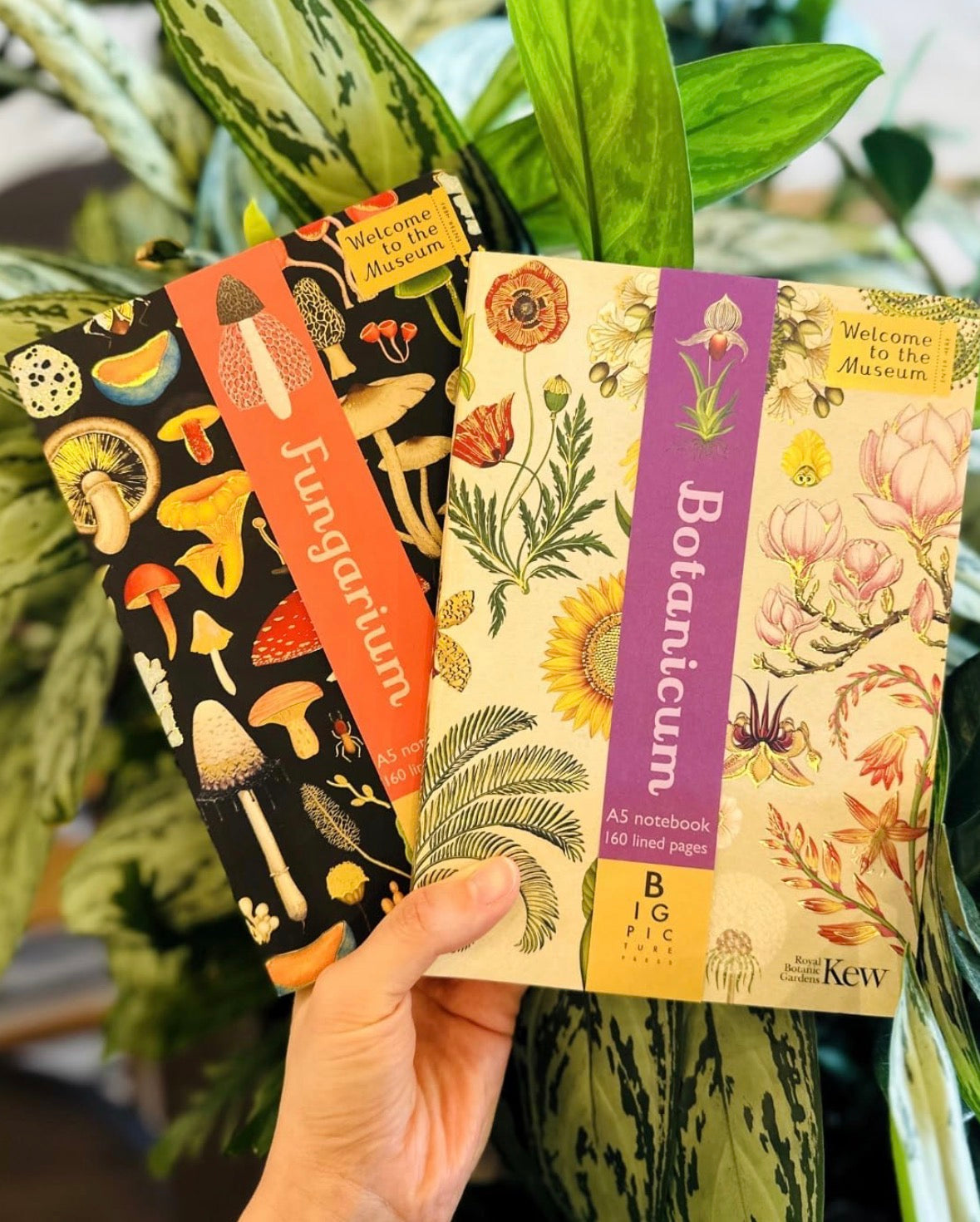 Botanicum A5 Lined Notebook: Welcome to the Museum